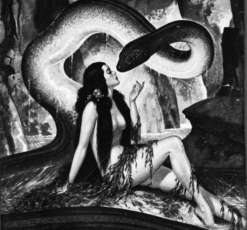 SEASON OF THE WITCH: The Teachings of Scorpio Through Archetype, Tradition, and Lore