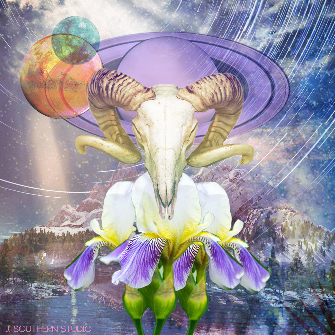 January 2021 Horoscopes