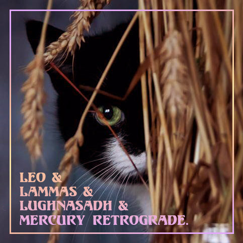 Celestial Insights: Mercury Retrograde, Leo Season, Lammas and other Astrological Influences of August 2024