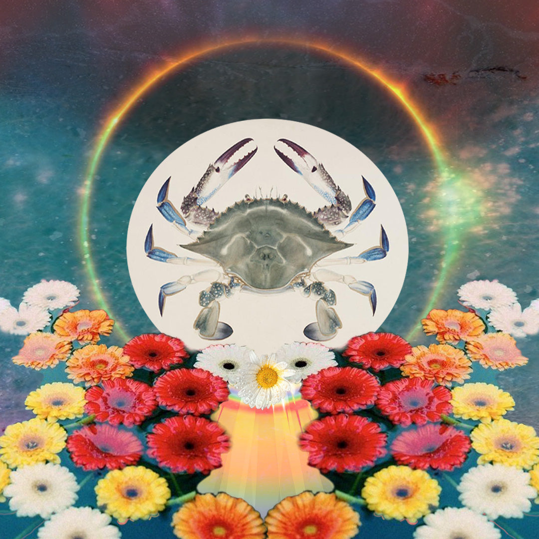 New Moon in Cancer + Partial Solar Eclipse, July 12 & 13, 2018: Emotional Empowerment