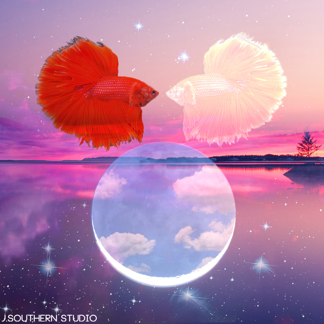 New Moon in Pisces, February 23, 2020: Deja Vu