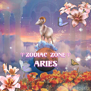 Aries: The Fire Starter / Energy Initiate