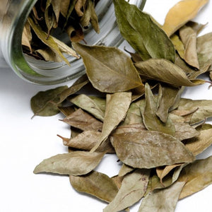 Spellwork Sessions: Banishing with Bay Leaves