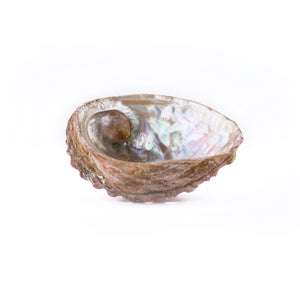 Abalone Shell Offering Bowl