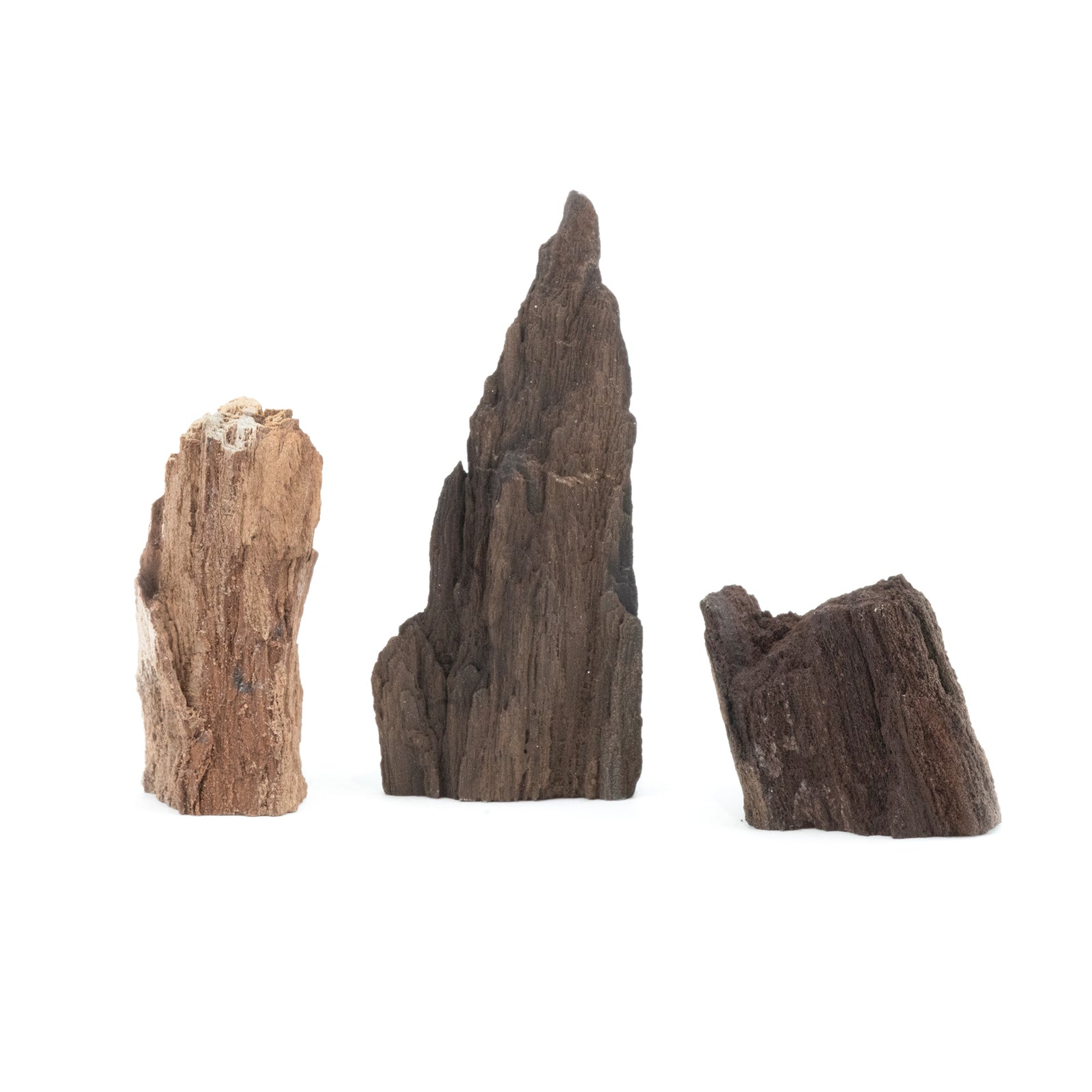 Permineralized Conifer Wood with Quartz Druzy