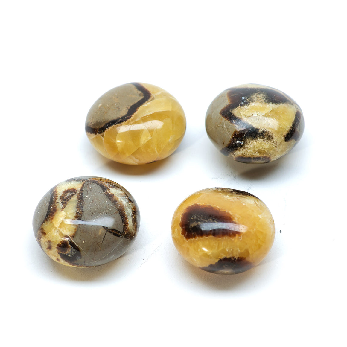 Septarian Palm Stone Pebble