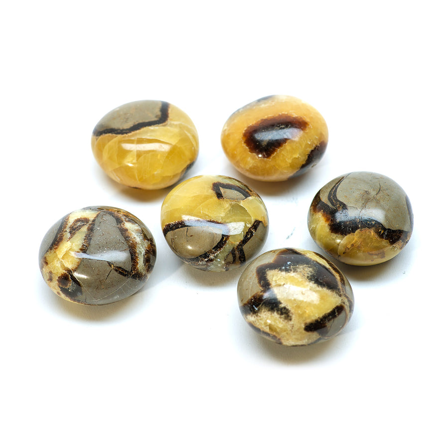 Septarian Palm Stone Pebble