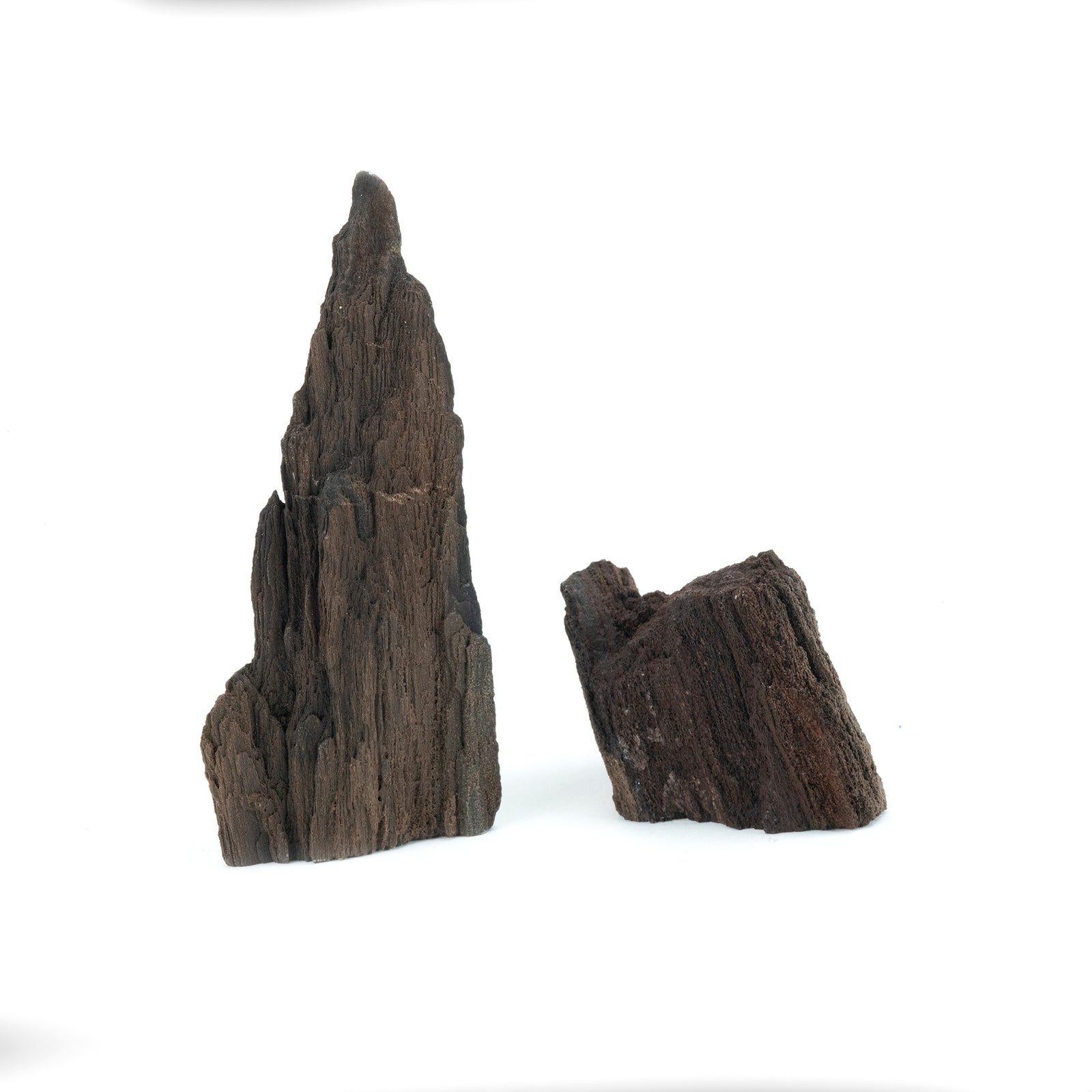 Permineralized Conifer Wood with Quartz Druzy