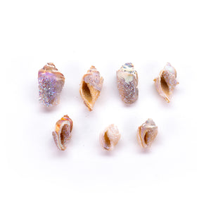 Mini Aura Druzy Conch Shells
