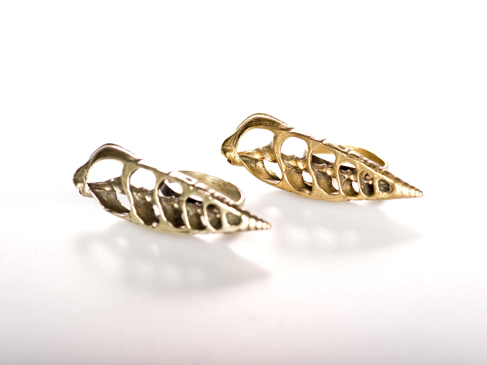Sea Shell Ring, Horizontal