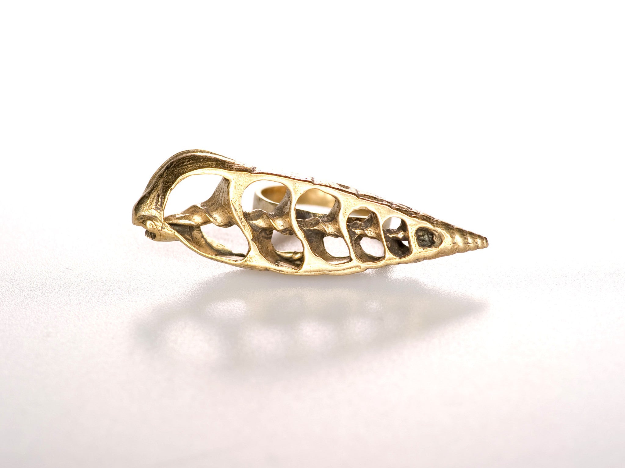 Studio Rings Sea Shell JSouthernStudio - Sea Shell Ring Horizontal