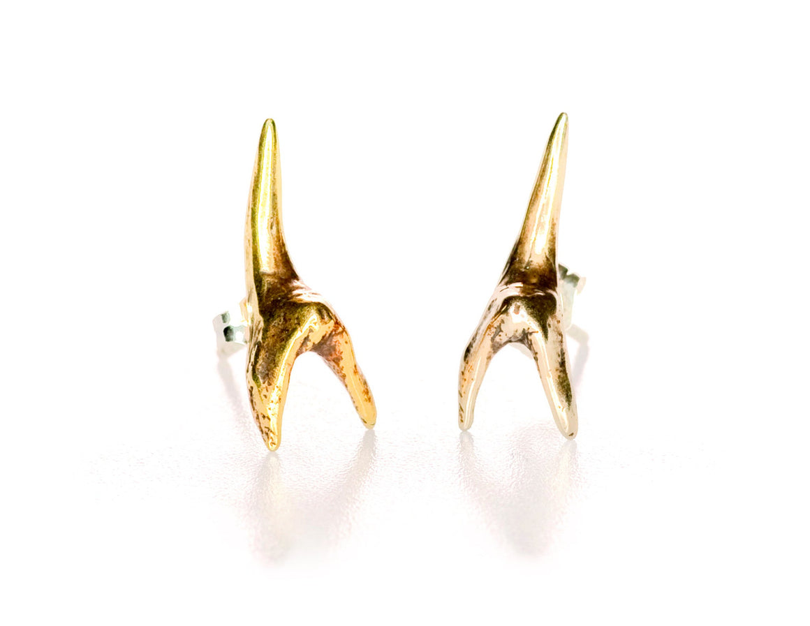 Small Shark Tooth Stud Earrings
